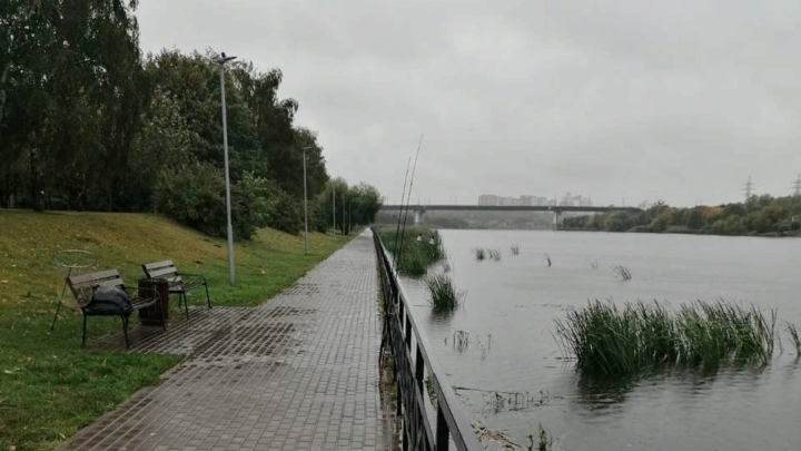 Тело младенца с пуповиной нашли в реке на юге Москвы