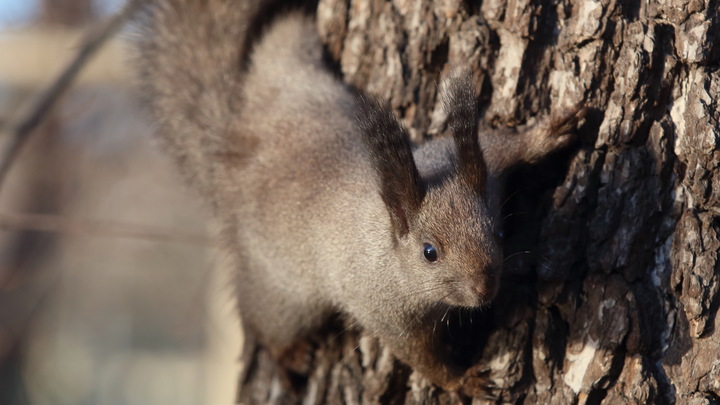 Народные приметы на 24 декабря – Никонов день: что нельзя, а что можно делать
