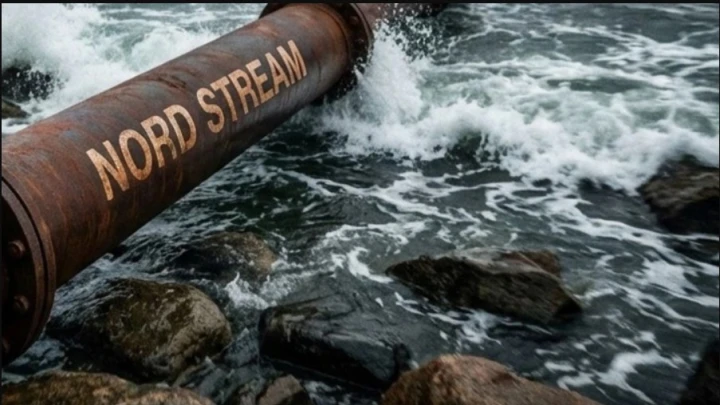 Германия знала о готовящемся теракте на «Северных потоках», но допустила взрывы