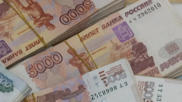 Бывшие владельцы Домодедово не вернули выплаченные из бюджета кредиты