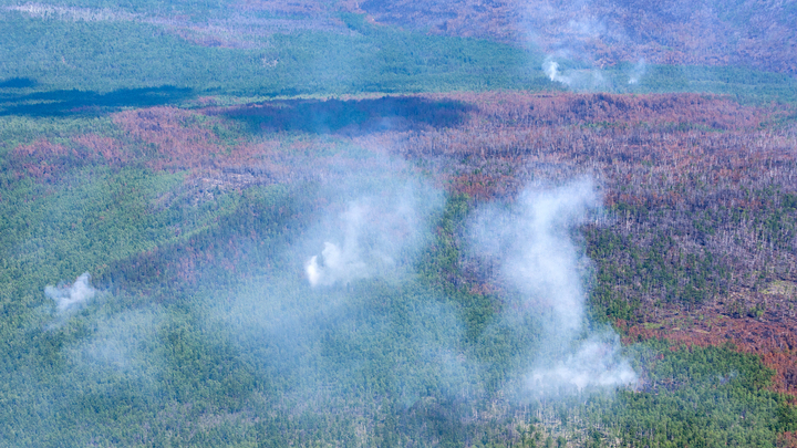 На Урале произошло три крупных лесных пожара