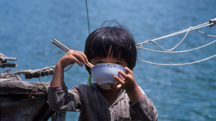 Пересекли красную черту: В ООН подсчитали, сколько человек будут голодать из-за Украины