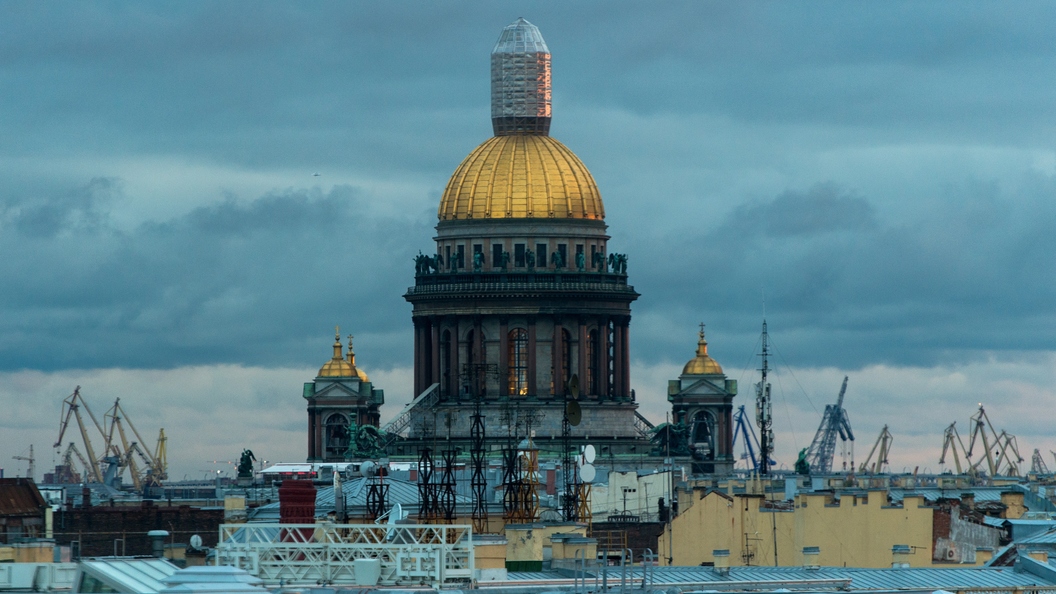 Директор Исаакия Вовненко решила уволиться и вернуться к написанию книг Директор Исаакия Вовненко решила уволиться и вернуться к написанию книг