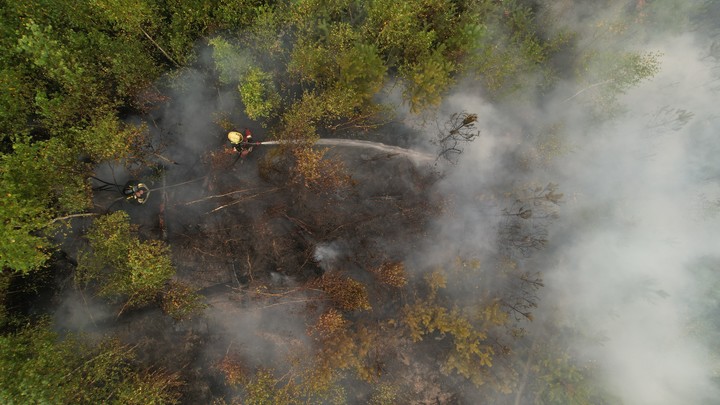 Жителей Кубани предупредили о риске увеличения числа пожаров
