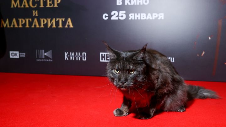 Конвейер по производству новых Треповых*? Режиссёр Мастера и Маргариты заложил бомбу под Россию