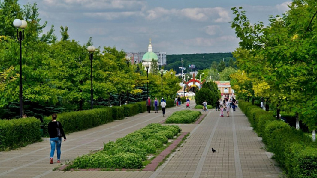 Парки ростова на дону фото В парке "Дружба" в Ростове грядет массовая вырубка деревьев