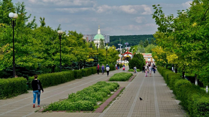 В парке Дружба в Ростове грядет массовая вырубка деревьев