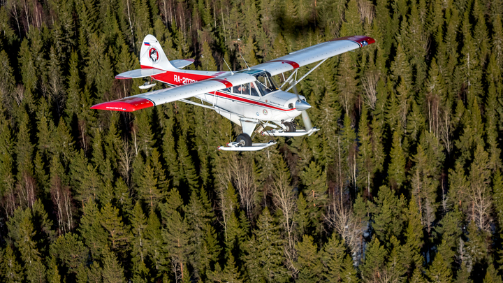 МЧС: на Алтае разбился легкомоторный самолет, погиб пилот