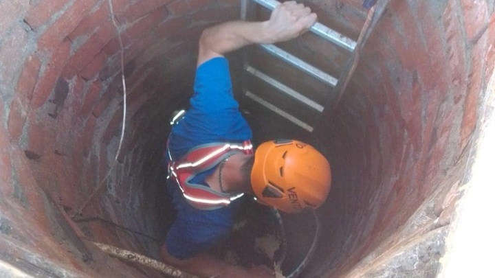 В Новороссийске спасли собаку, упавшую в четырехметровый колодец