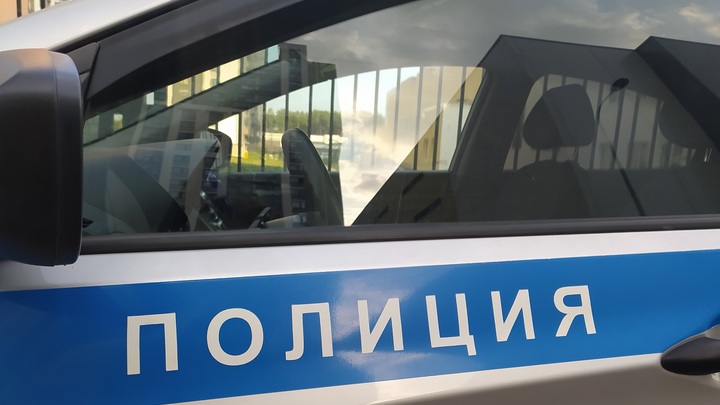 Иностранца задержали в Казани после дерзкого нападения на девушку