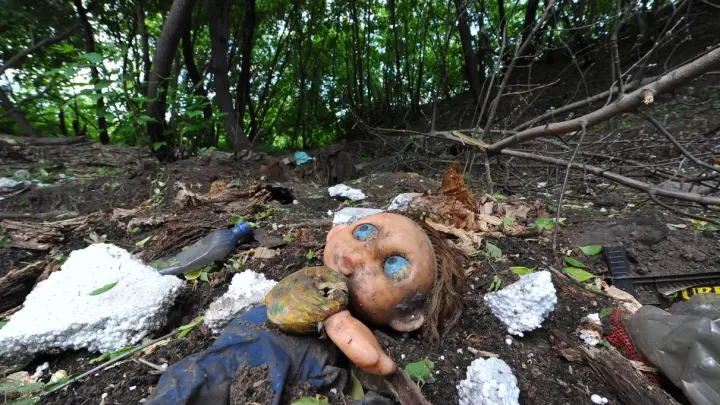 Рухнувшее из-за урагана дерево убило девочку в Самаре