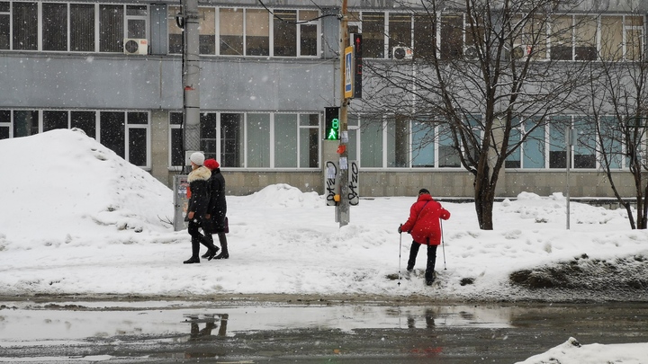 МЧС предупредило жителей Новосибирской области о сильном ветре 2 апреля