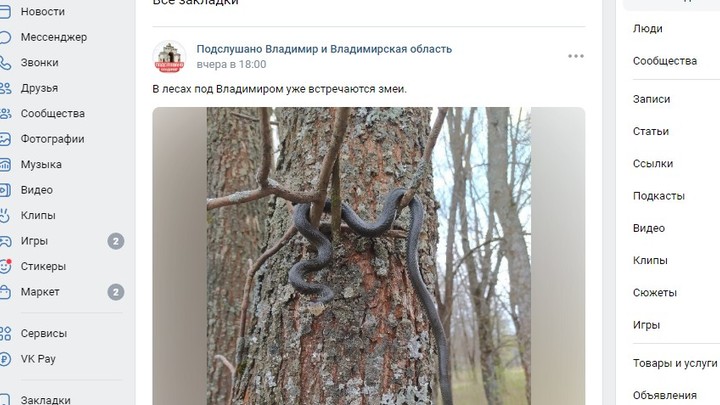 Владимирскую область заполнили гадюки, ужи и медянки
