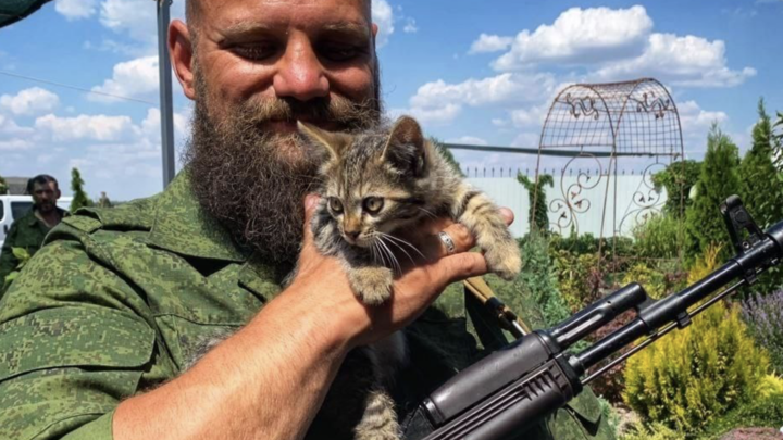 Будешь лес валить одной рукой: иностранцы прислали ветерану СВО угрозы на чистом русском