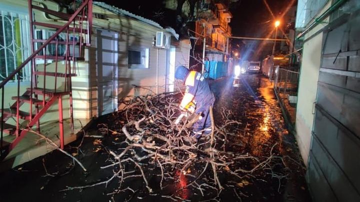 В Сочи ураганный ветер повалил два десятка деревьев