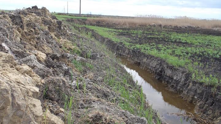 Житель Кубани заплатит более 8 млн рублей за уничтожение двух лиманов