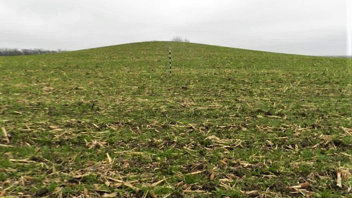 В Успенском районе и Армавире девять курганов взяли под охрану государства