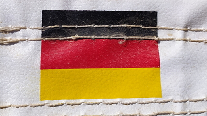 Жители Германии скоро раскусят обман беженцев с Украины: Политолог привёл факты