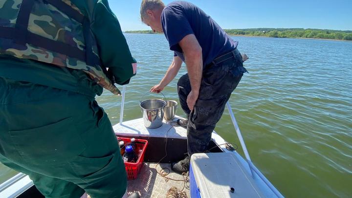 Всю грязь в воду: найден сброс сточных вод в Шершни возле жилых домов
