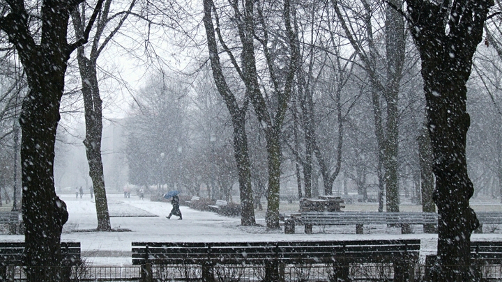 Снежный циклон Бенедикт погостит в Петербурге ещё день