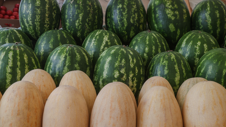 Врач Сухорукова рассказала о первой помощи при отравлении арбузом и дыней