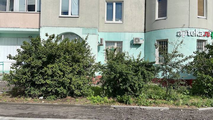 В Москве с пятого этажа выпала пятилетняя девочка
