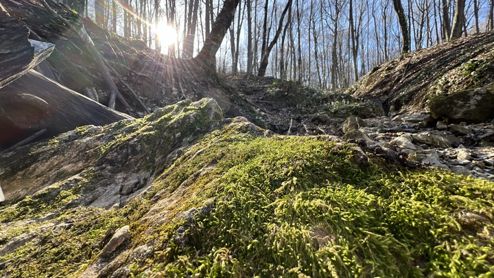 Кубань ожидает высокую загрузку в бархатный сезон