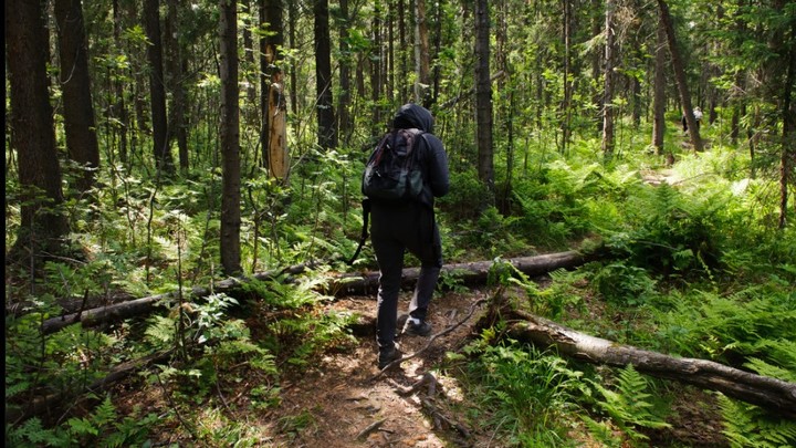 Ушёл на охоту с отцом: Ребёнок пропал в амурской тайге