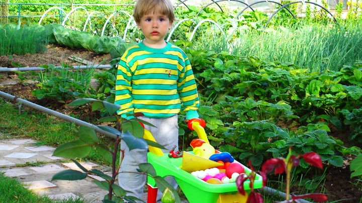 У вас и огород есть? Миллионерам детские пособия не положены!