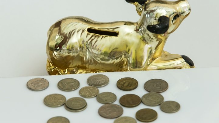 Как грамотно хранить сбережения: Экономист озвучил золотое правило