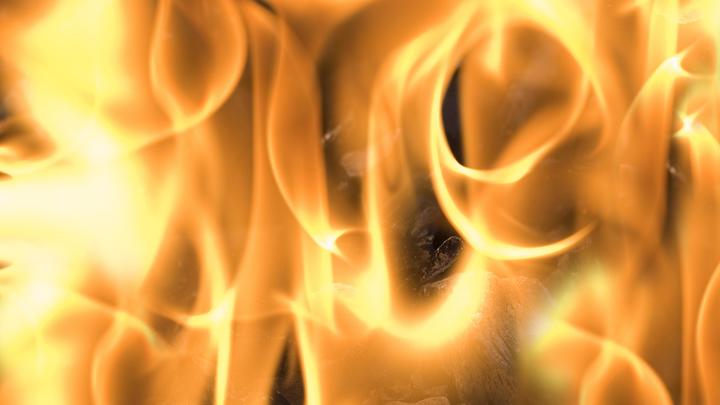 По запасам протурецких боевиков нанесли удар: Террористов лишили контрабанды в Сирии