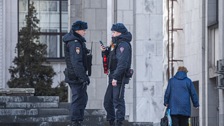 Полиция задержала в Новосибирске независимого депутата Светлану Каверзину