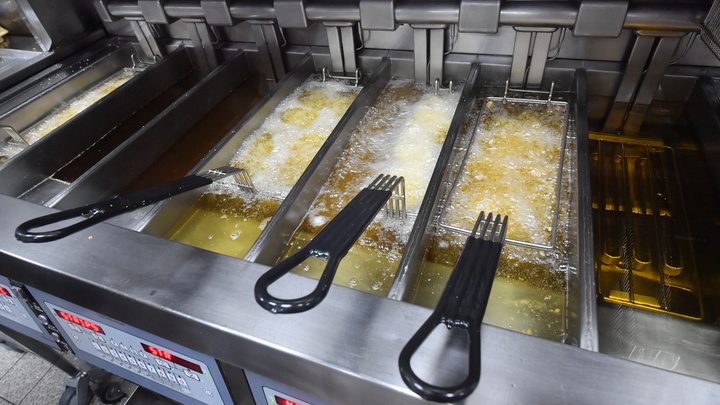 Французам официально разрешили заправлять автомобили использованным маслом для фритюра