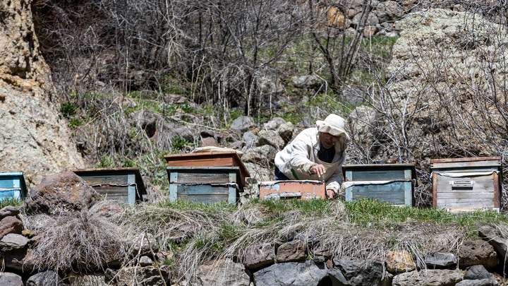 Сторожу пасеки из Новопокровского района, который сжёг своего начальника, вынесут приговор