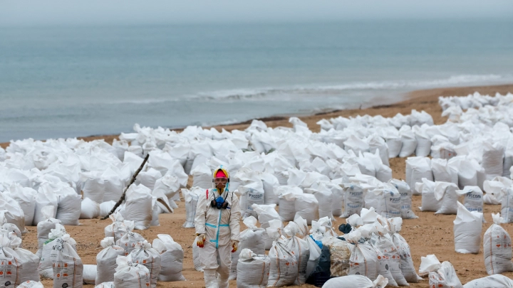 Новый разлив мазута в Анапе. Уровень халатности беспрецедентный: Общество, волонтёры возмущены