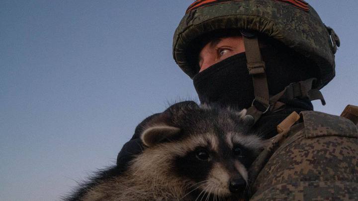 Енот, ушедший из Херсона с русскими войсками, провел первую официальную встречу