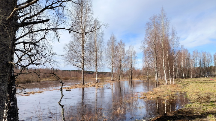 В Нижегородской области два участка автодороги освободились от воды