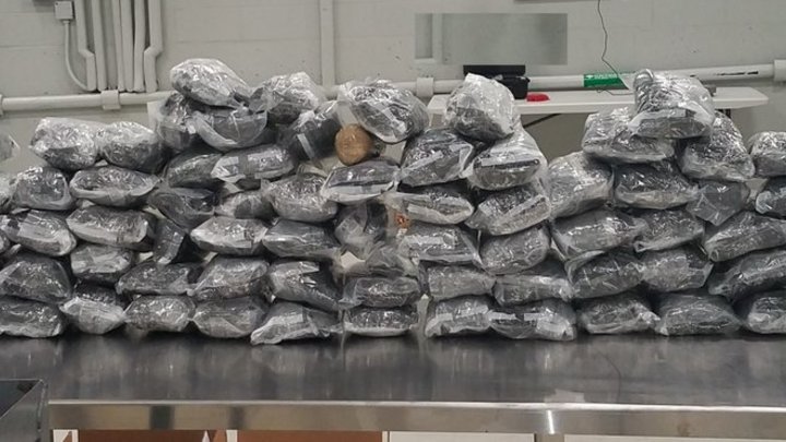 План Барон - слабоумие и отвага: СБУ нашли способ заработать в России