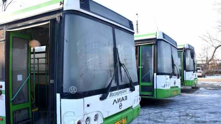 В Кургане выйдут на маршруты низкопольные автобусы из Москвы