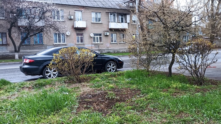 Погода в Ростове-на-Дону 17 апреля 2022: прогноз синоптиков