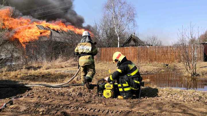 Во Владимирской области из-за палов травы начались лесные пожары