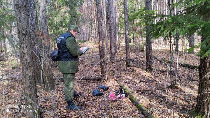Появилось фото из леса около Гусь-Хрустального, куда ночью увела 10-летнюю девочку ее мать