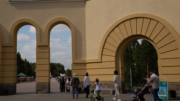 В Челябинской области неизвестный мужчина пытался похитить ребенка на глазах у матери