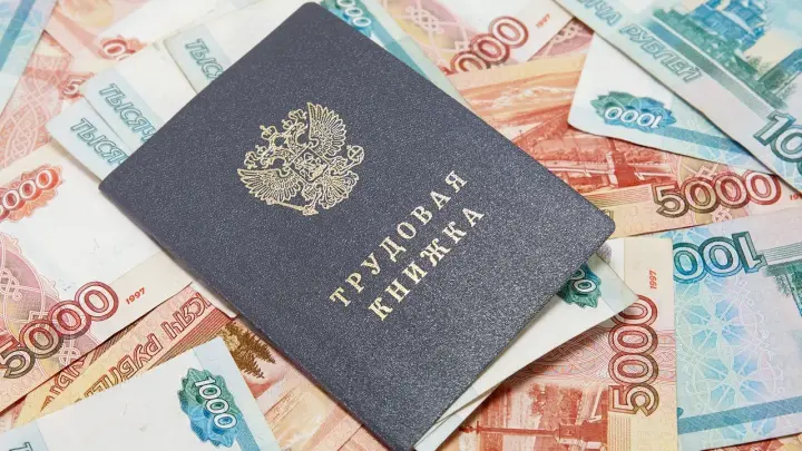 Вакансии ломятся, соискатели молчат: власти Ленобласти ищут способы утолить кадровый голод