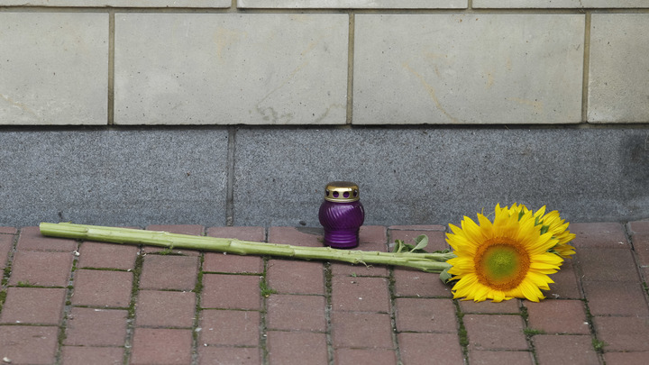 Тайное видео выдало виновных в крушении MH17