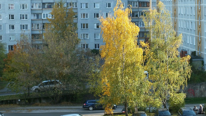 Советскую мозаику на фасаде дома по улице Берёзовской в Нижнем Новгороде могут сохранить