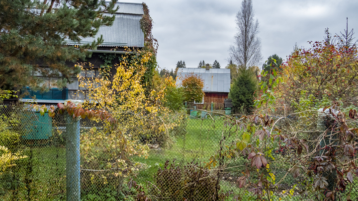 Дороже всего сорняки: Юрист перечислил главные штрафы дачников