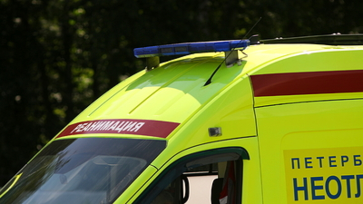 В России зафиксировано заражение холерой. Опасность пришла из Индии