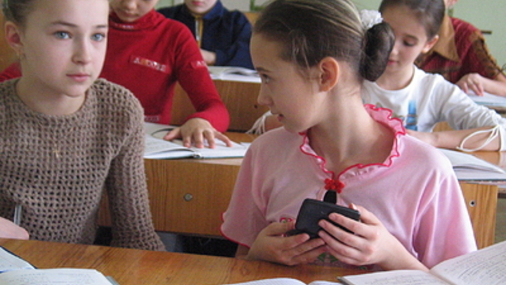 Родителей новосибирской школьницы накажут за жестокую драку их дочери с одноклассницей