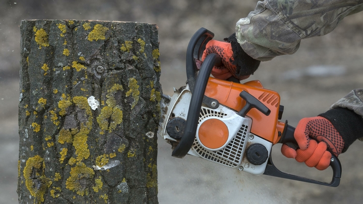 В Абинском районе неизвестный с бензопилой гонялся за водителем ГАЗели